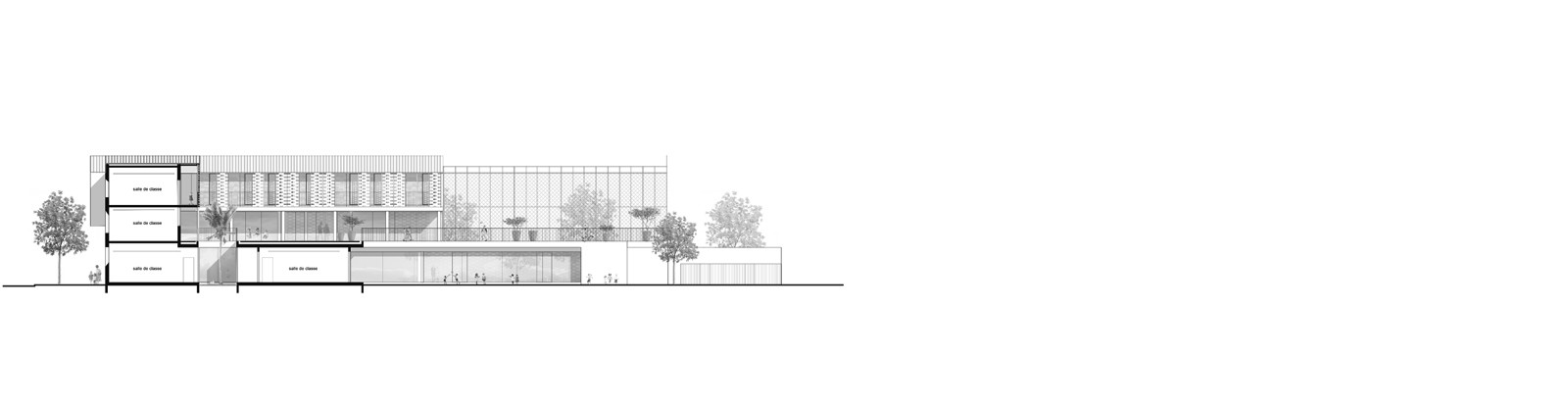 1904 - 07-coupeAA bis